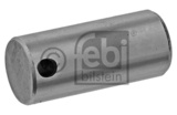 PEN VOOR REMSCHOEN